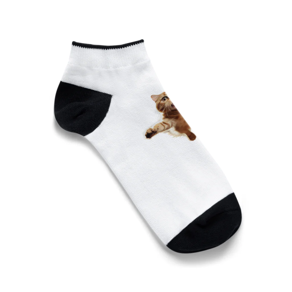 縞模様の飛び付きそうな猫 Ankle Socks