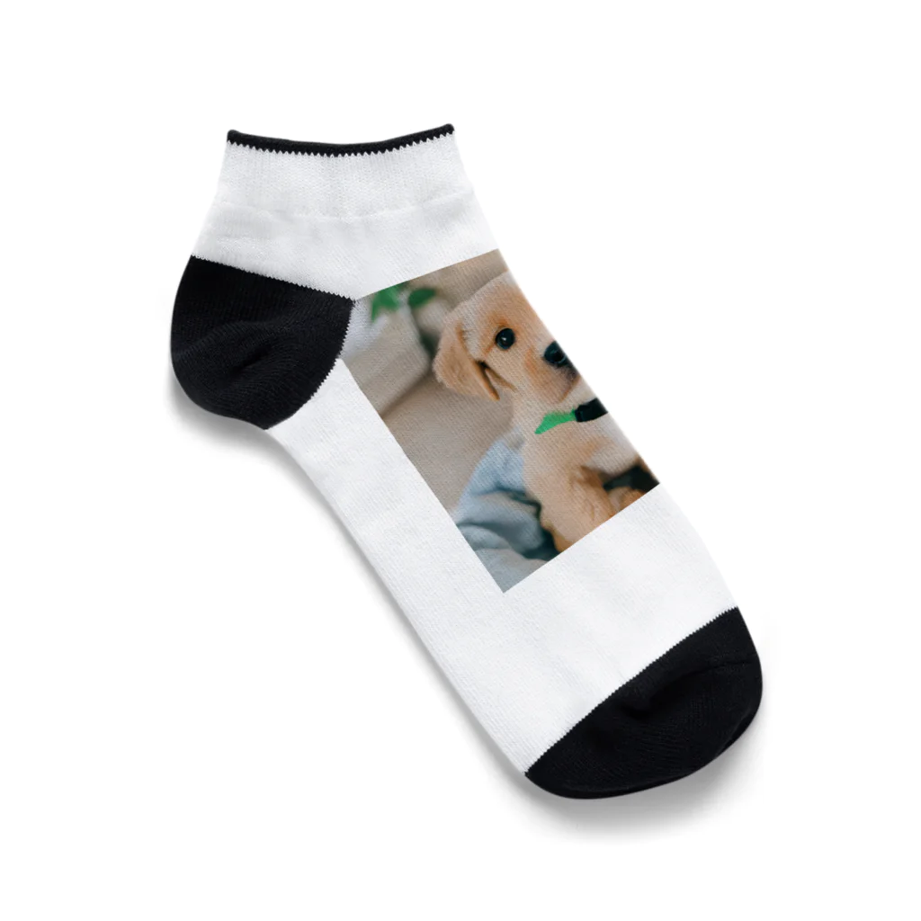 カズクリエイトの可愛い子犬のムギちゃん！ Ankle Socks