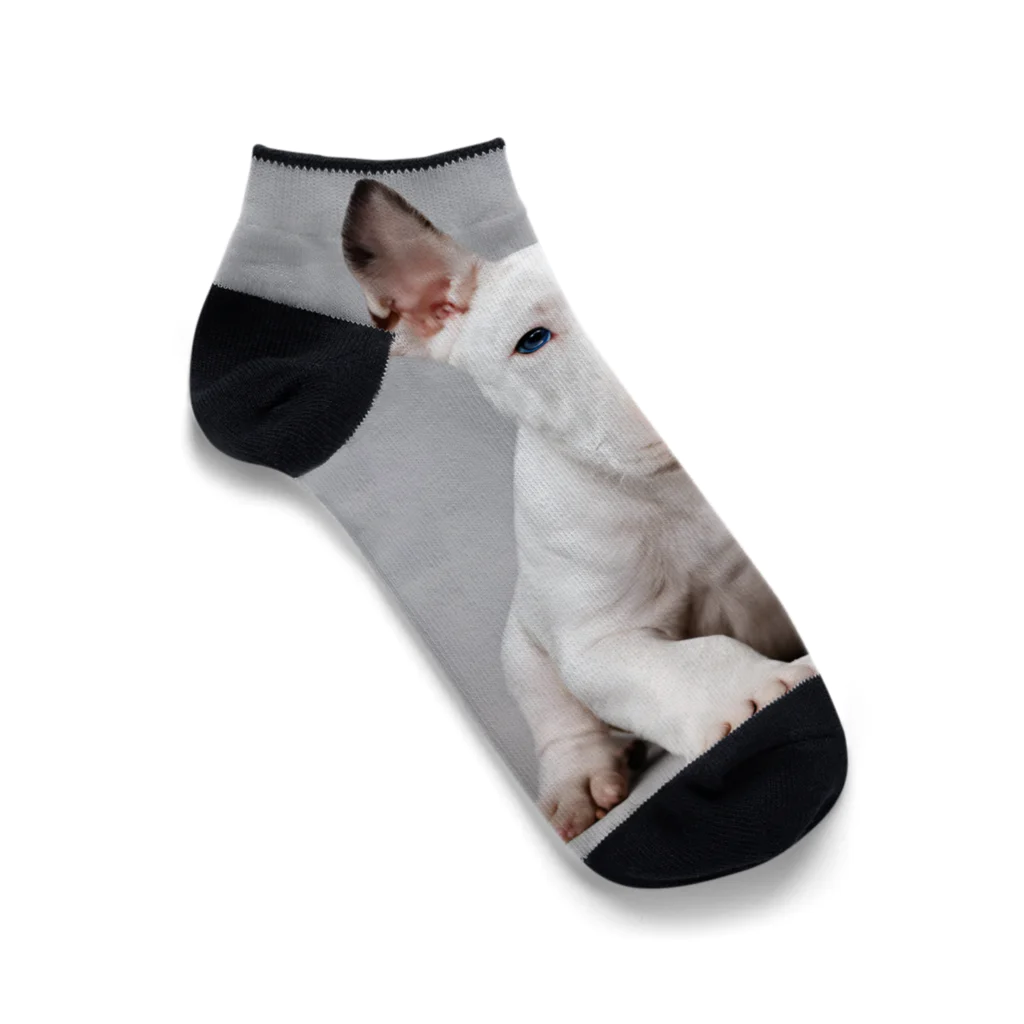 Kybeleのテリアのかわいい子犬のアイテム Ankle Socks