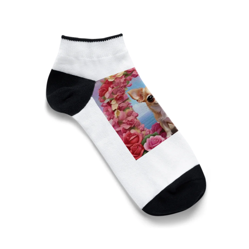 チワワ愛好家ショップの王室の秘密とチワワと薔薇 Ankle Socks