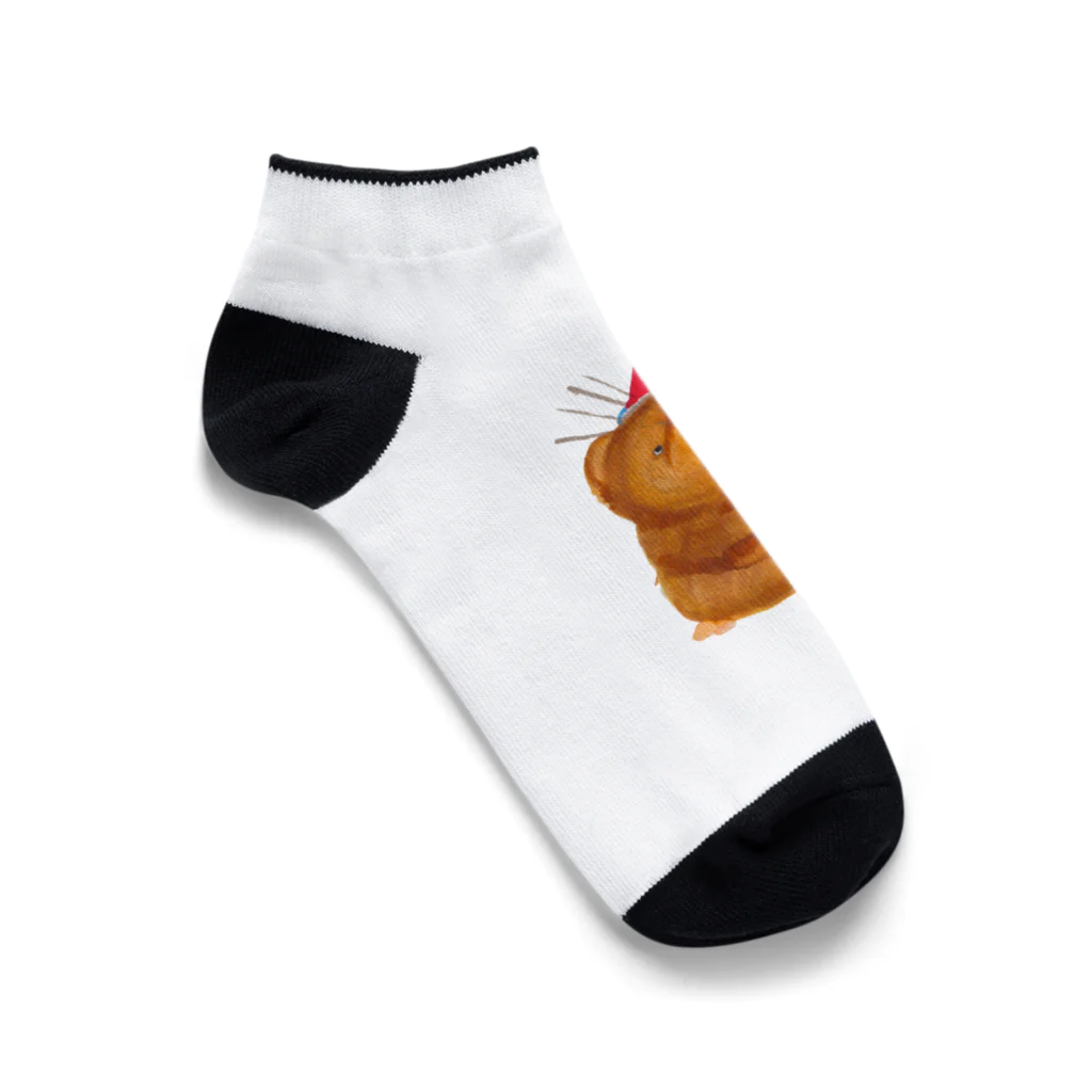 segasworksのトガリネズミとトンガリ帽子（サンタ帽） Ankle Socks