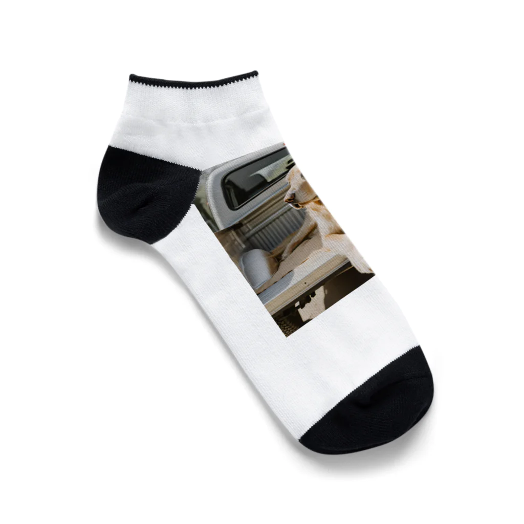 itokiwaレトリーバーのitokiwaレトリーバー Ankle Socks