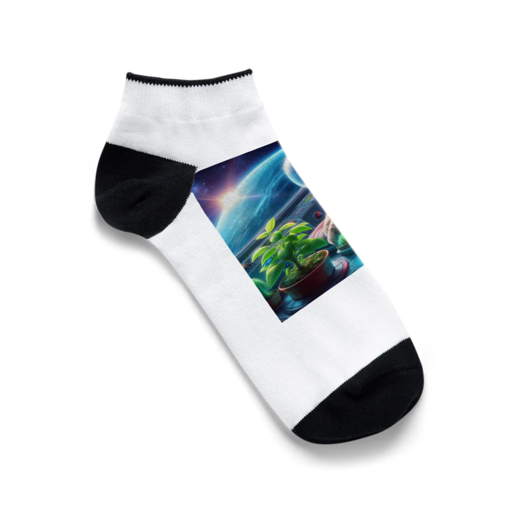 ニャーちゃんショップの宇宙船で植物を育てながら宇宙旅行している猫 Ankle Socks