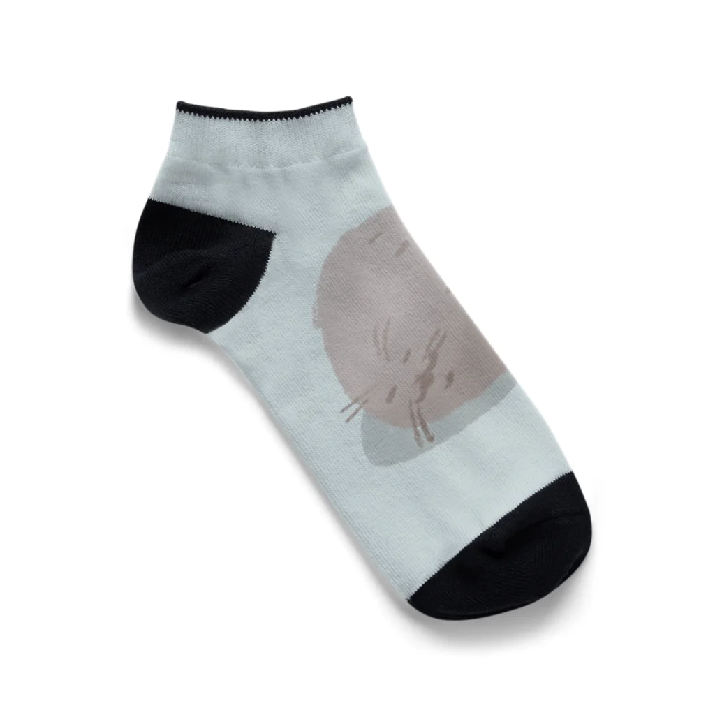 ひざじろうのねんねアザラシ Ankle Socks