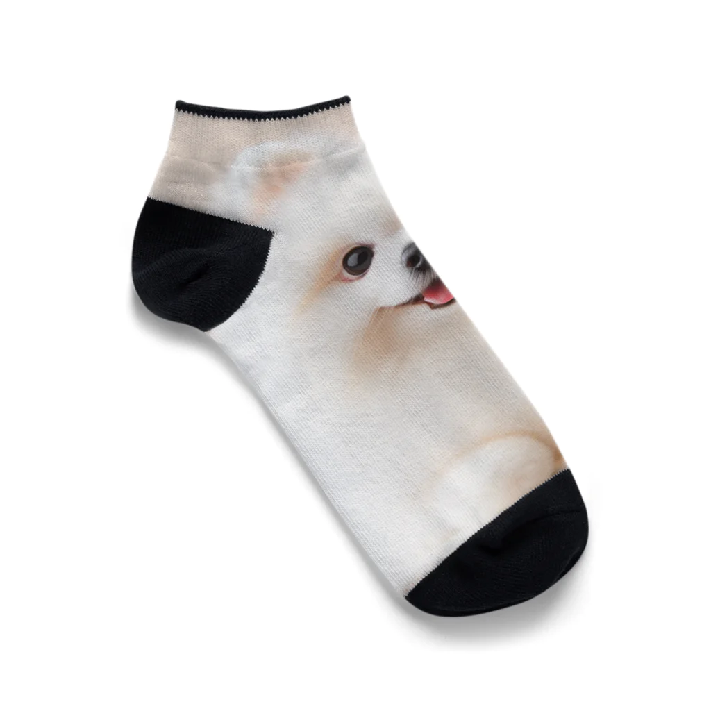 LALAの白ポメグッズ Ankle Socks