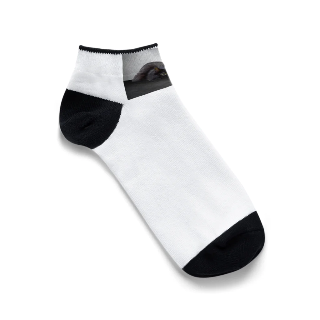 きぶんやガレージの猫のまるちゃん Ankle Socks