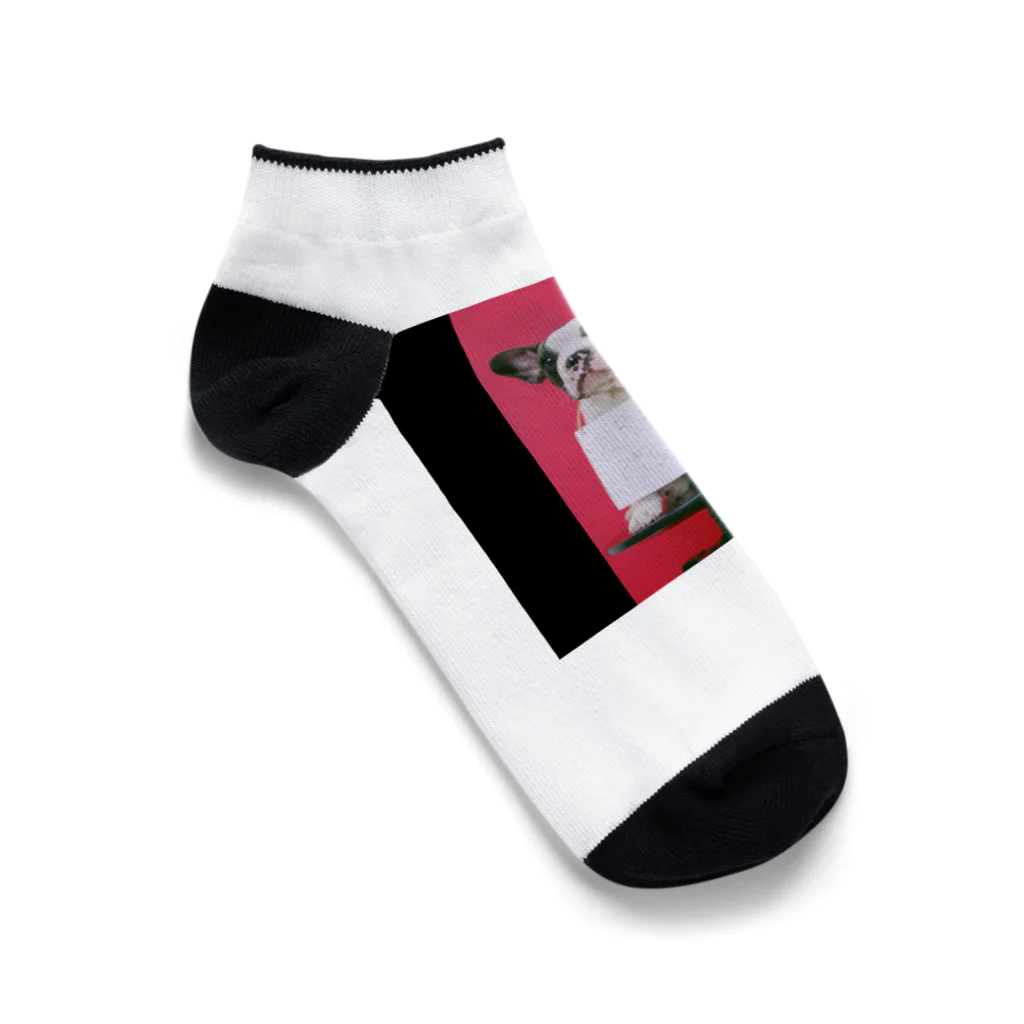 かもかもショップのSignboard　Dog Ankle Socks