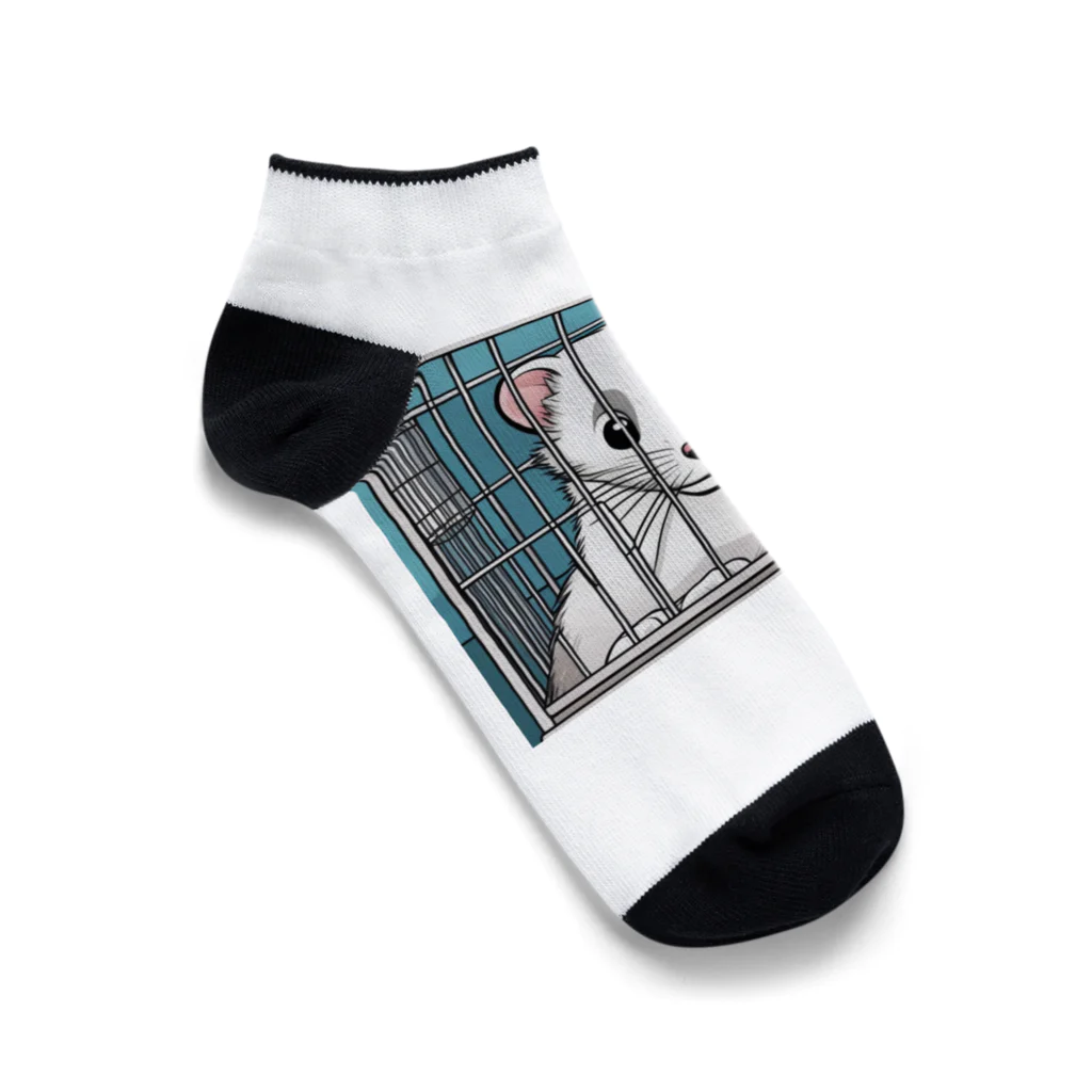 ai-open-202402のフェレット Ankle Socks