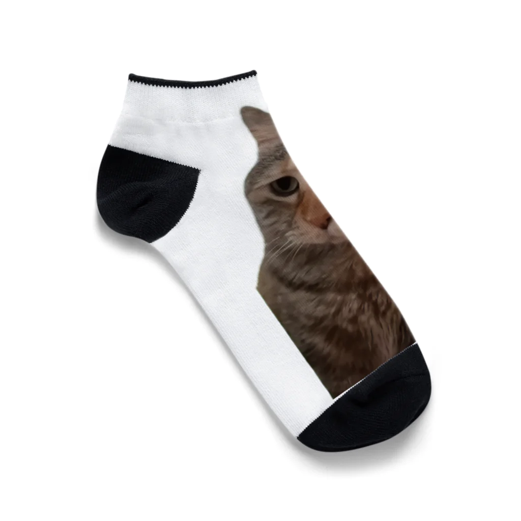 猫ミームグッズの【猫ミーム】叱られる猫 Ankle Socks