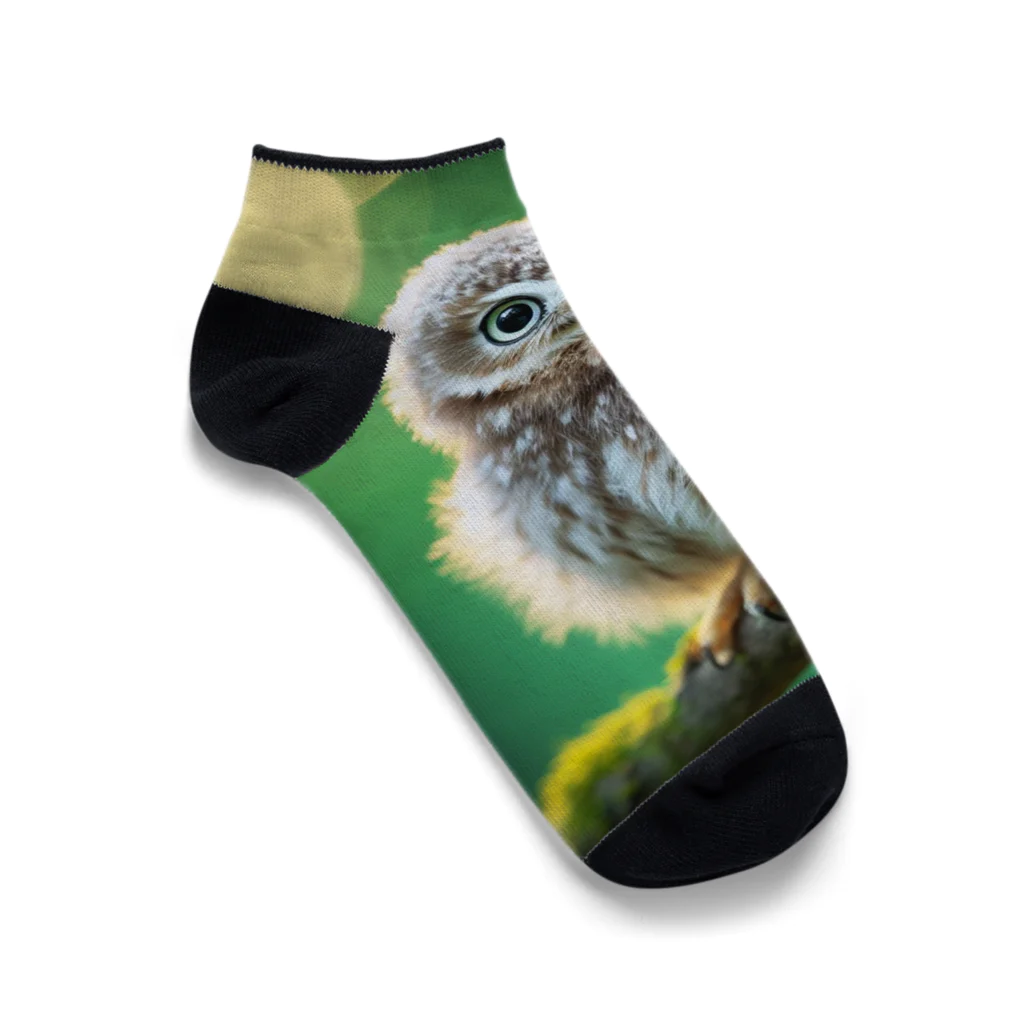 Animal Canvas Collectionの森のふくろう Ankle Socks