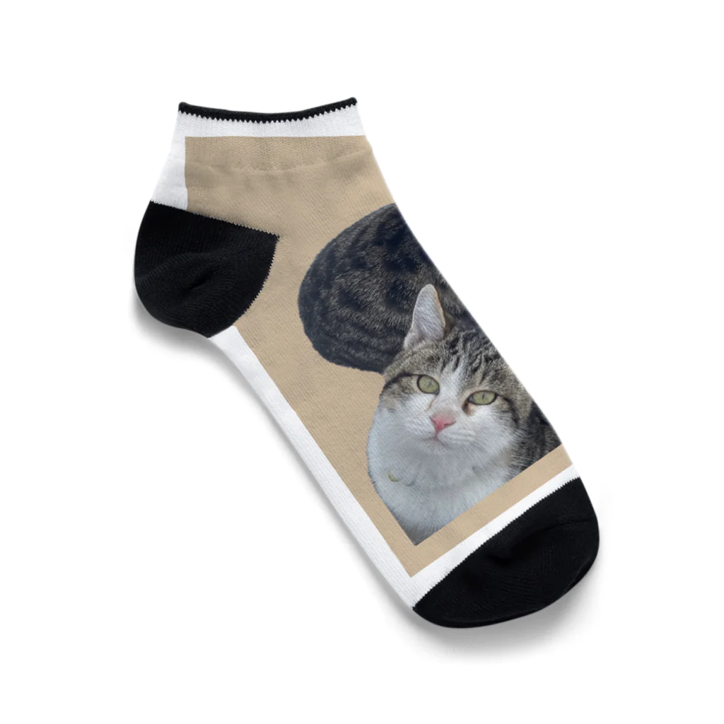 ビニールハウスの天使たちのこうきandレイ2 Ankle Socks