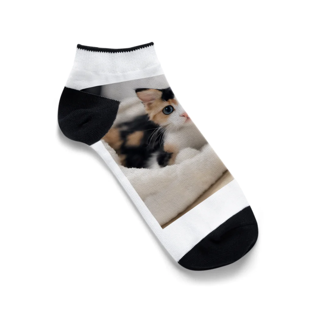 癒しリフレッシュの愛らしい子猫ちゃん Ankle Socks