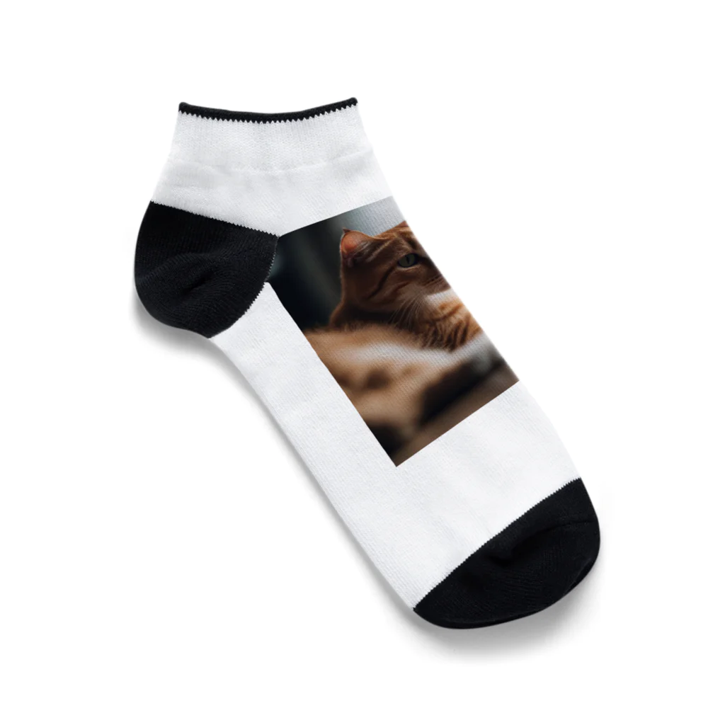 LuckyRiverShineの遊んでいる猫 Ankle Socks