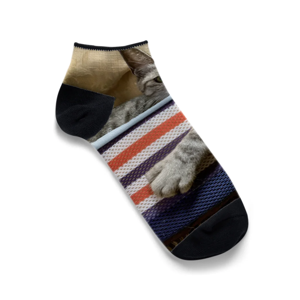 fashion-sametarouのワイルドだろ〜 Ankle Socks