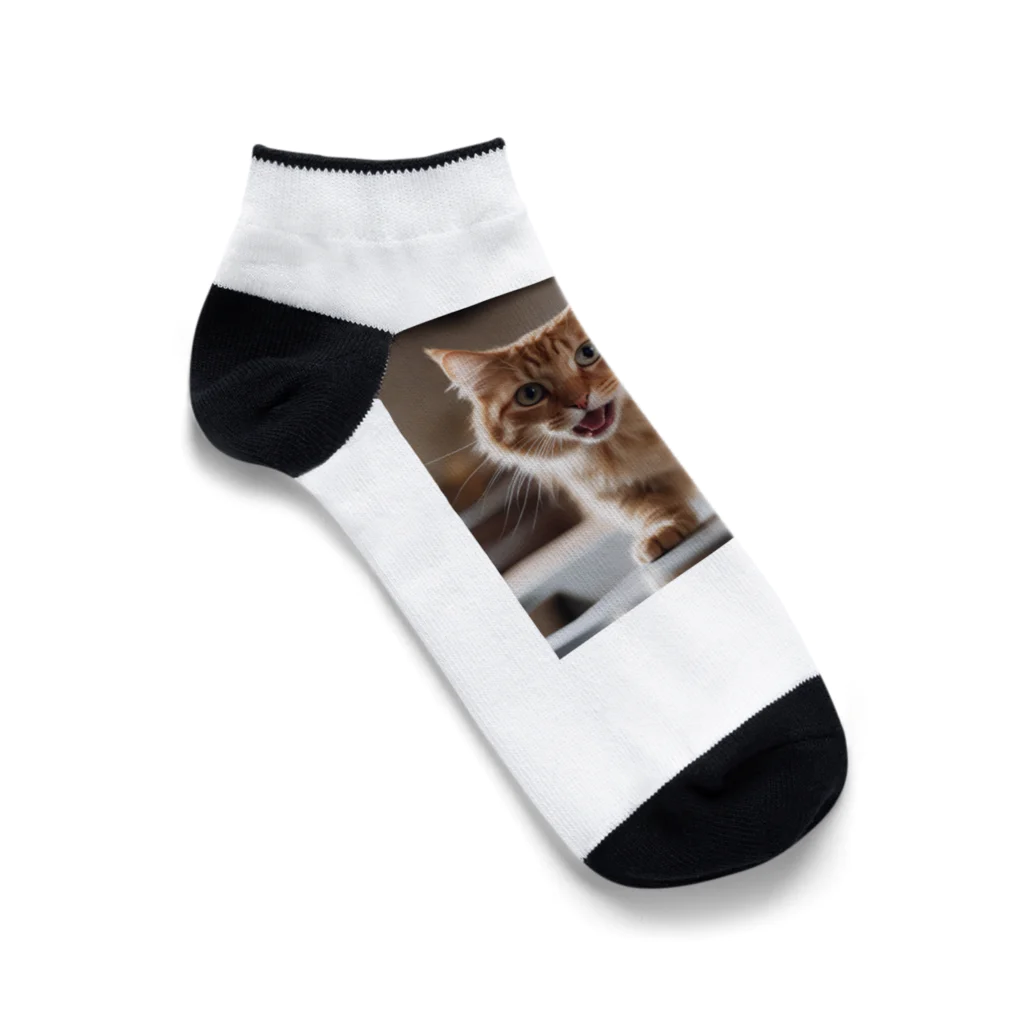 feliceのキッチンで飛び跳ねる猫 Ankle Socks