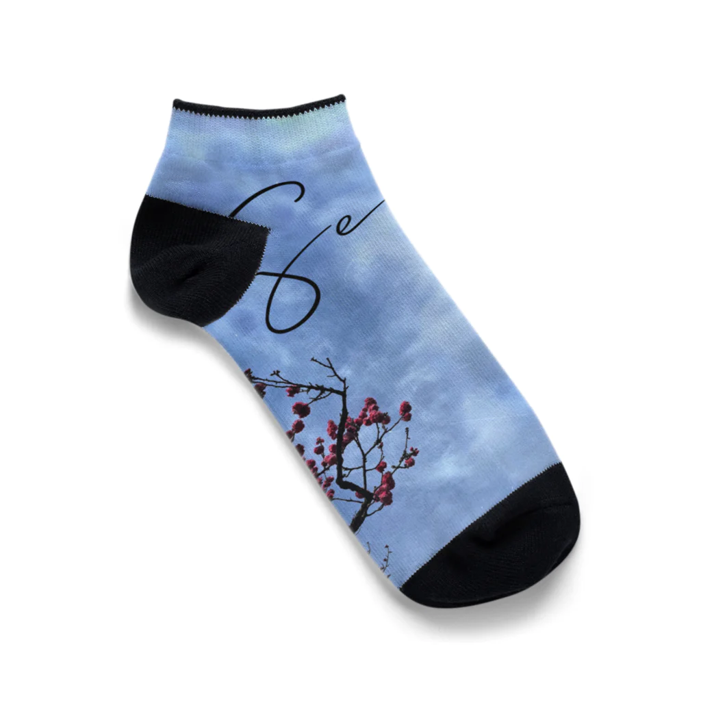 172 FMのSEASONS グッズ　tjaykid & Taira Ankle Socks