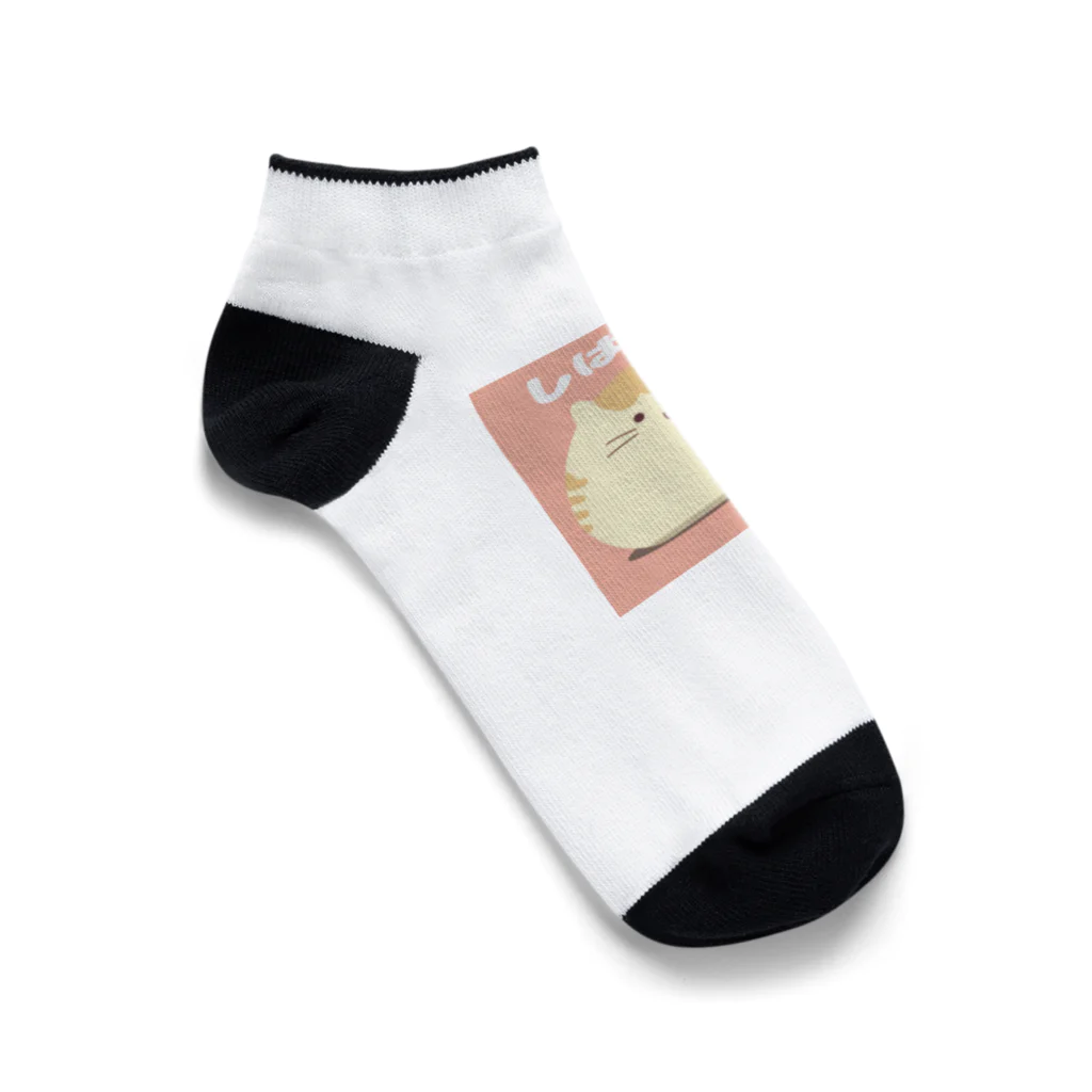 まるくてゆるい生き物屋さんのまるねこさん Ankle Socks