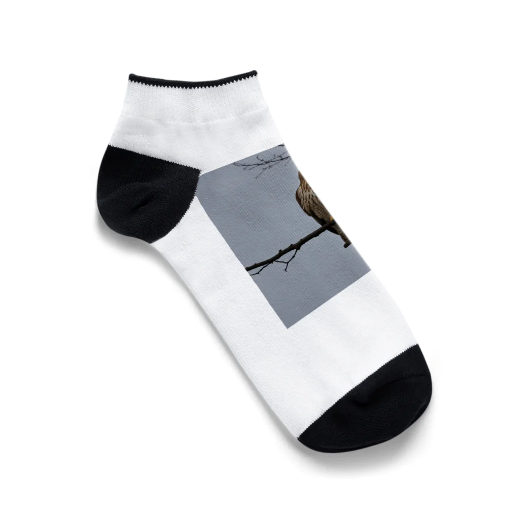 ganeshaの天候の変化に備えるタカ Ankle Socks