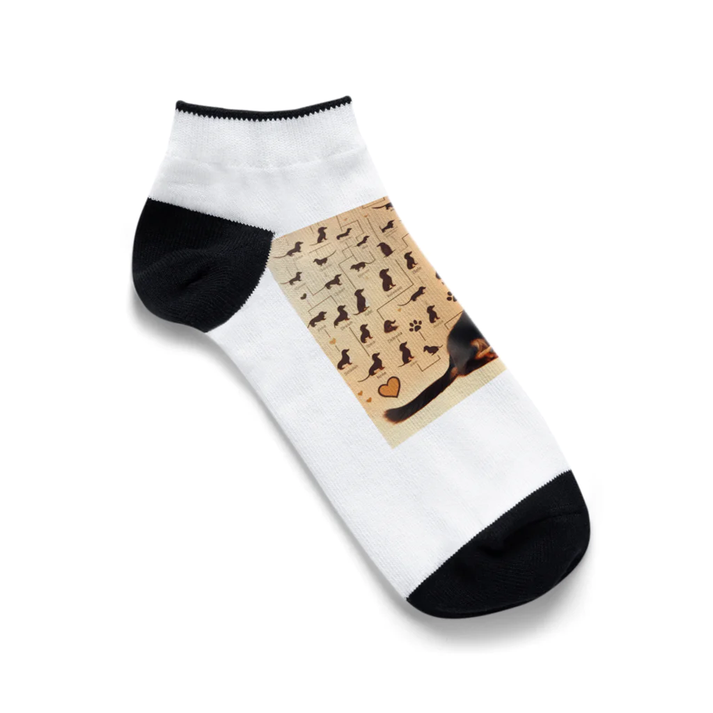 wankoyのダックスフンド家系図 Ankle Socks