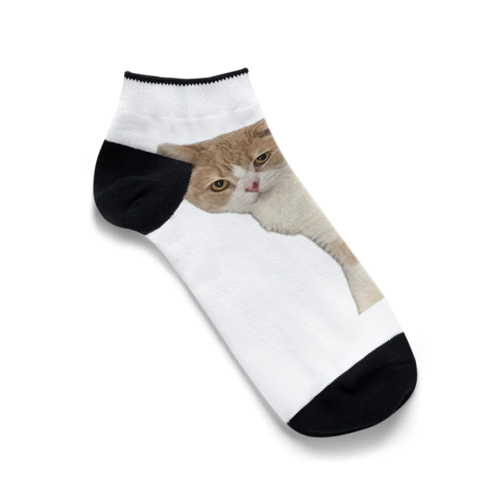 Mashlyのマシロくん猫グッズ Ankle Socks