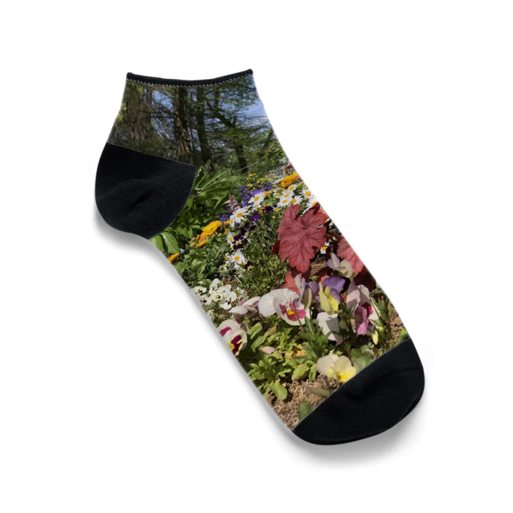とらいぽふぉびあの春の花壇 Ankle Socks