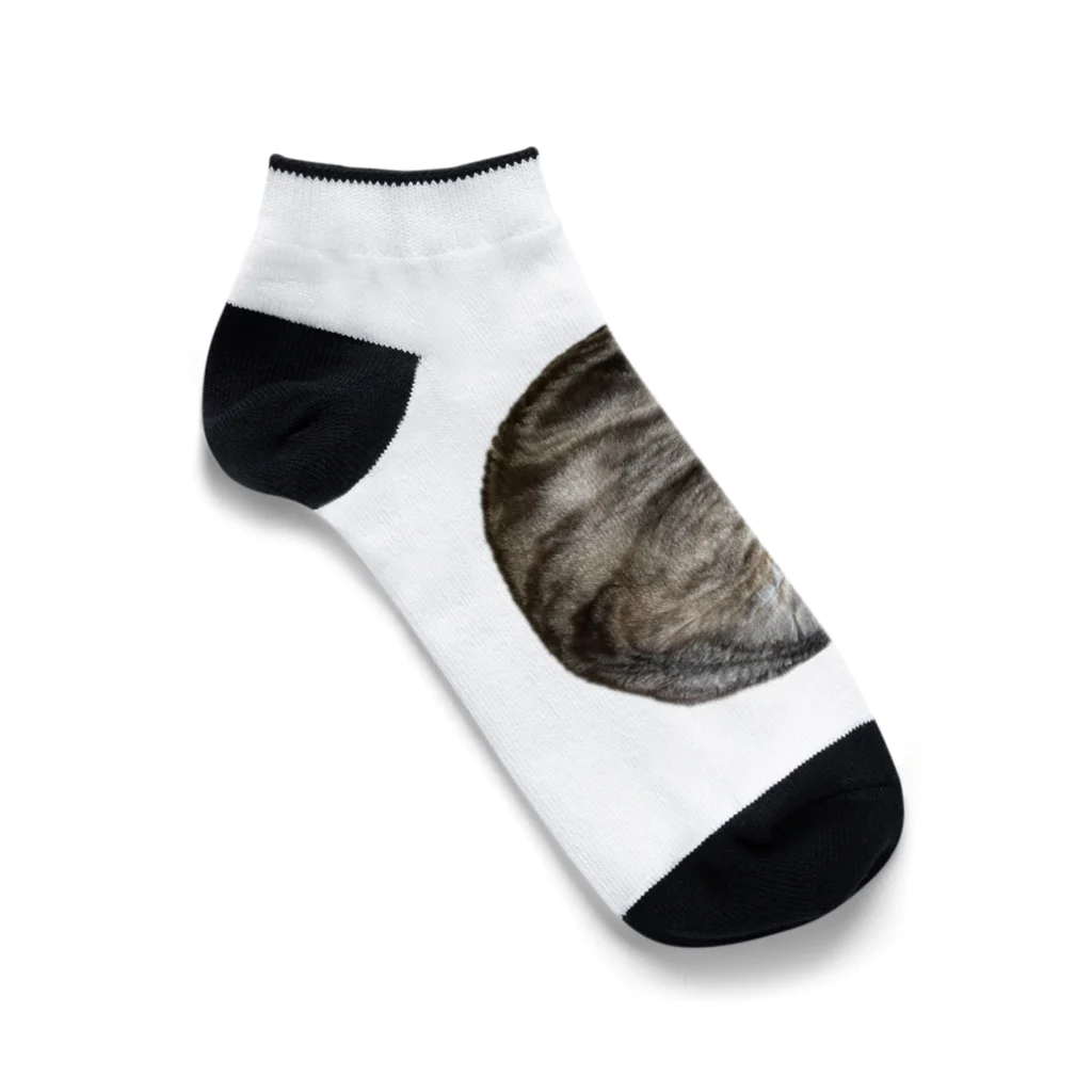 うちの猫ちゃんたちの茹でられたエビみたいなとらと Ankle Socks