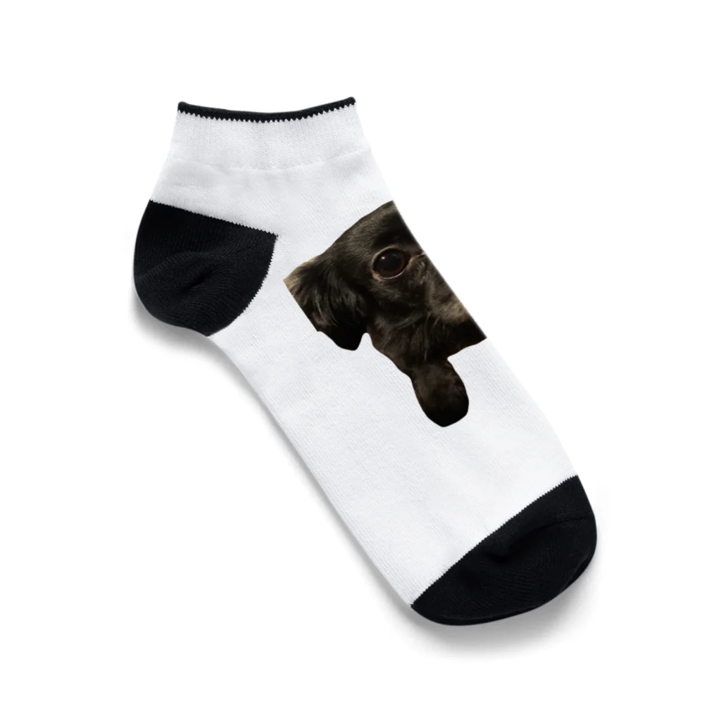 エレファント先生と虹色こどもたちのミックス犬のかわいいあずきちゃん Ankle Socks