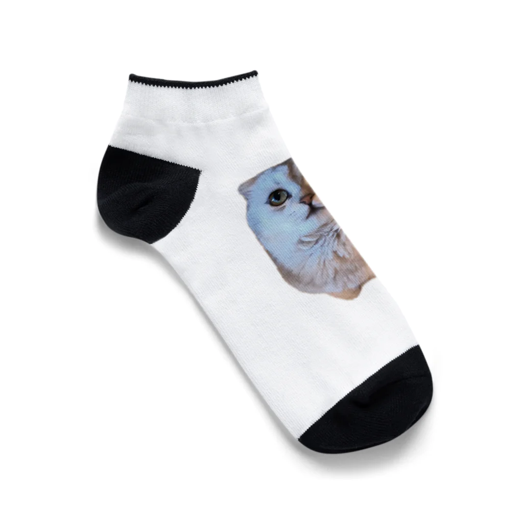 いらっしゃいませのフクロウみたいな猫 Ankle Socks