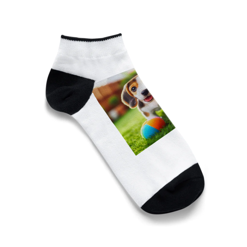 カジノ屋のビーグル犬キキちゃん Ankle Socks