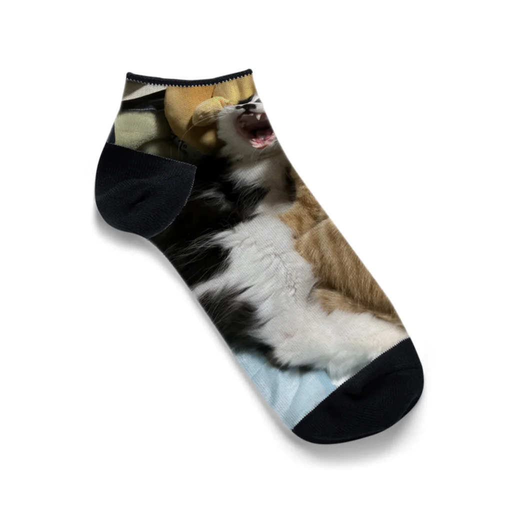 ayamomohidemiのキュートな猫猫あくび Ankle Socks