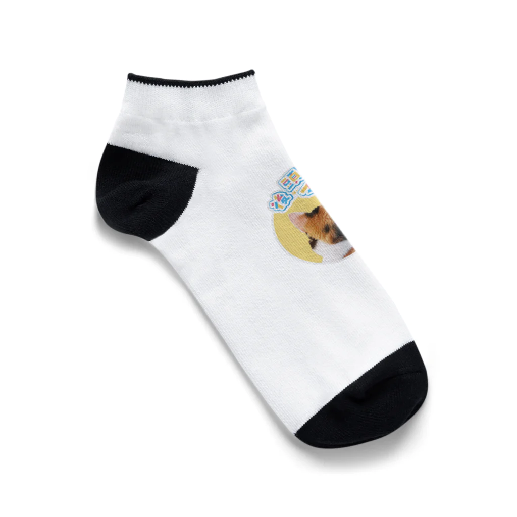 .nekoの後頭部マニア Ankle Socks