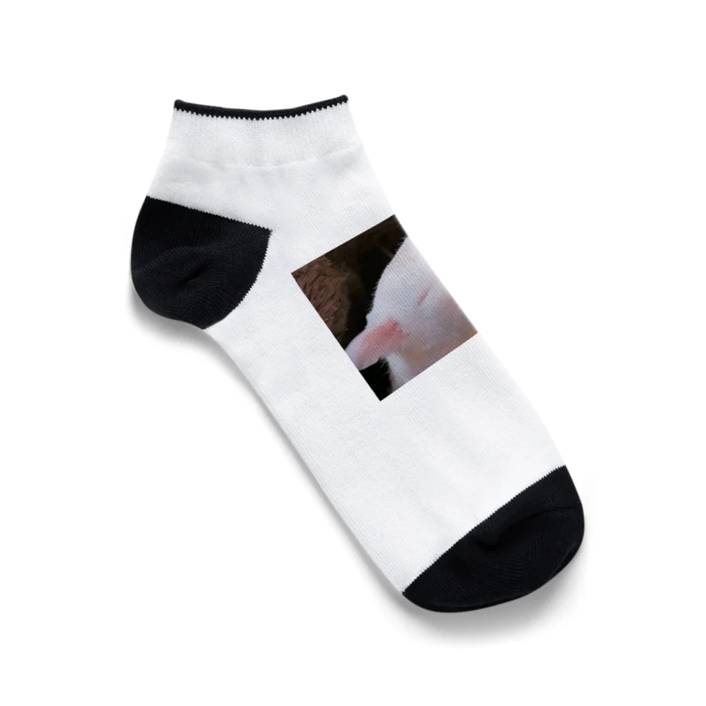 もち家族❣️のもち家族 Ankle Socks