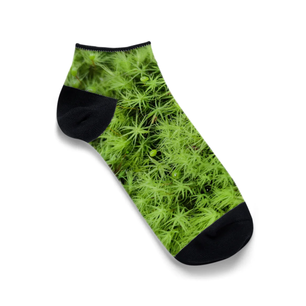 アトリエWindwingの苔グッズ（タマゴケ玉つき） Ankle Socks