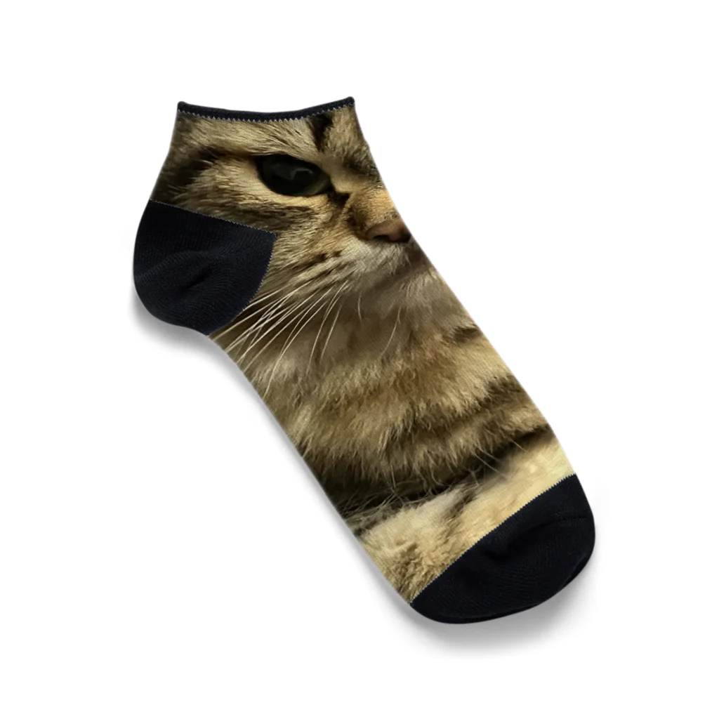 キャットモカの猫のサイベリアン Ankle Socks