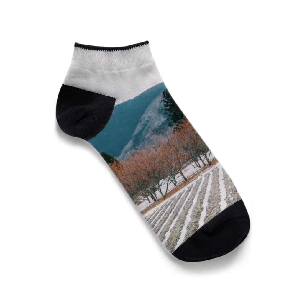 Sanami 紗　のlandscape No.5 Ankle Socks