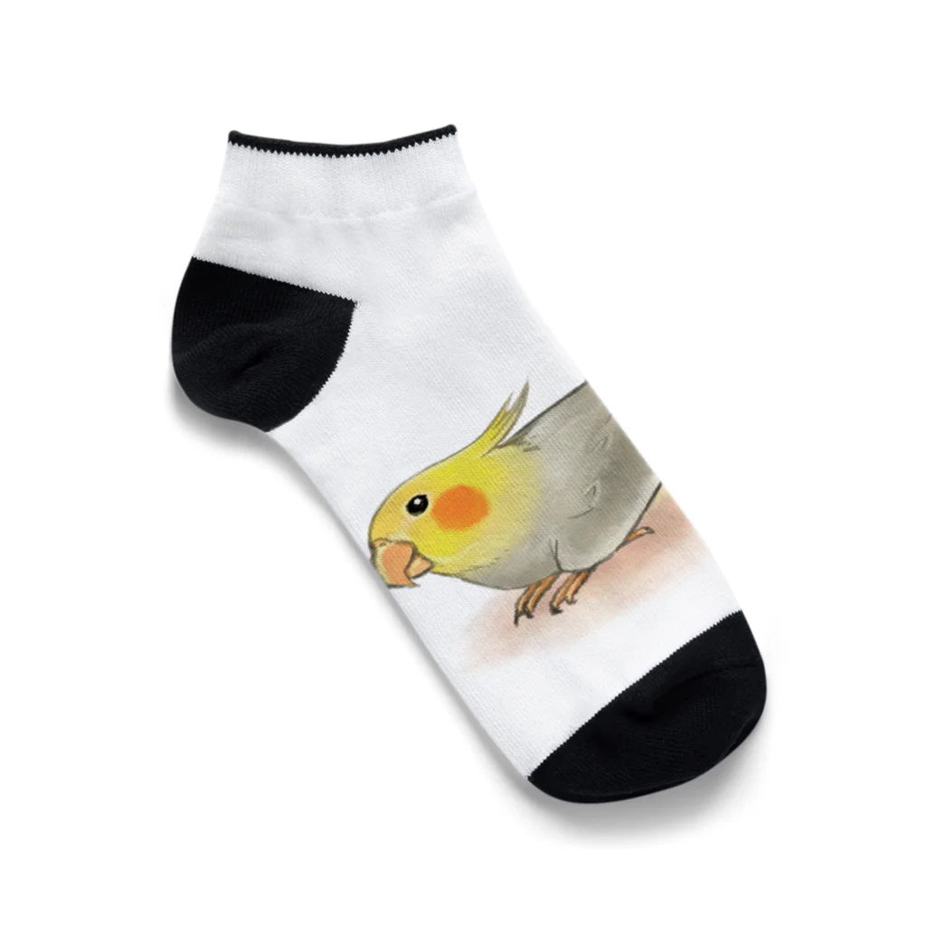 まめるりはことりのオカメインコ　レキ【まめるりはことり】 Ankle Socks