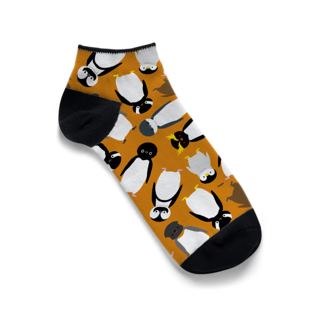 しろくま&ペンギン通信のいろんなペンギン(オレンジ) Ankle Socks