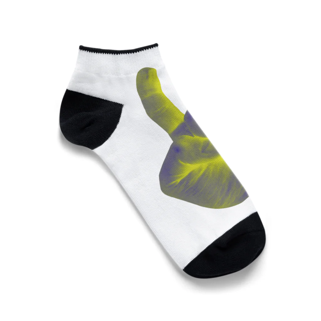 ∞INFINITY∞のYOLO Ankle Socks