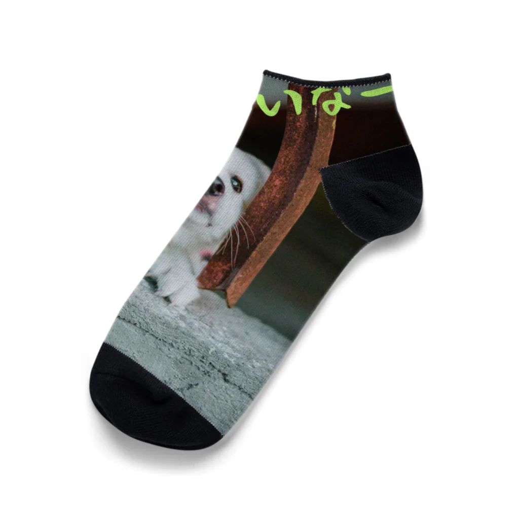 crescentの主人を待つ子犬♪ Ankle Socks