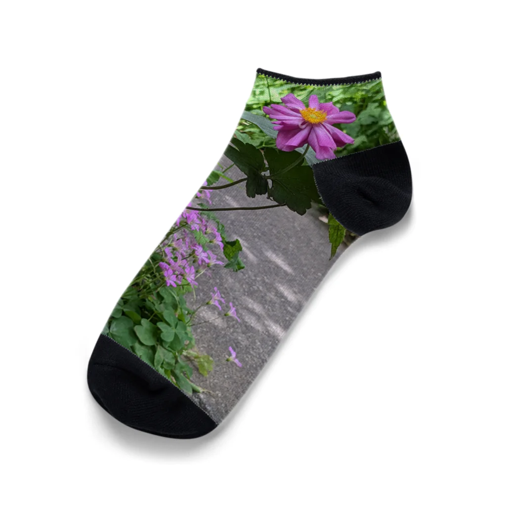 🌸さくらしめじ🍄 の池田ん家のミドリとピンク達 Ankle Socks