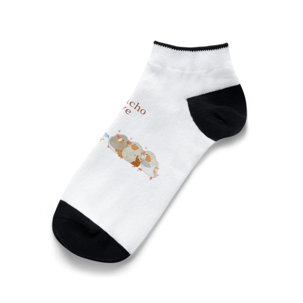 雛乃の文鳥グッズ屋さんのキンカチョウのネモフィラデザイン Ankle Socks