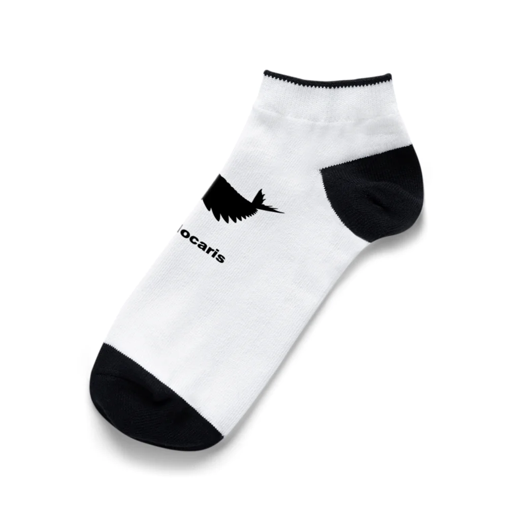 puikkoの古生物　アノマロカリス Ankle Socks