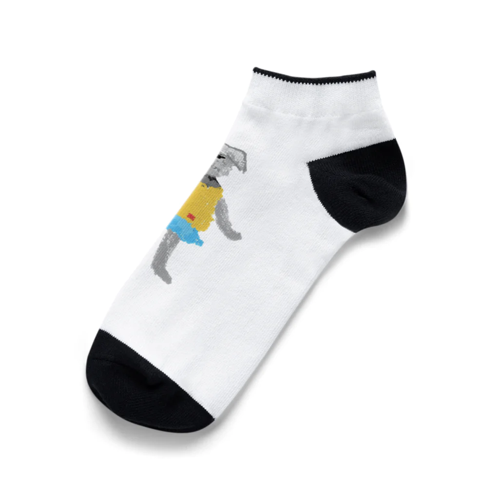 COCONutのシュナソックス Ankle Socks