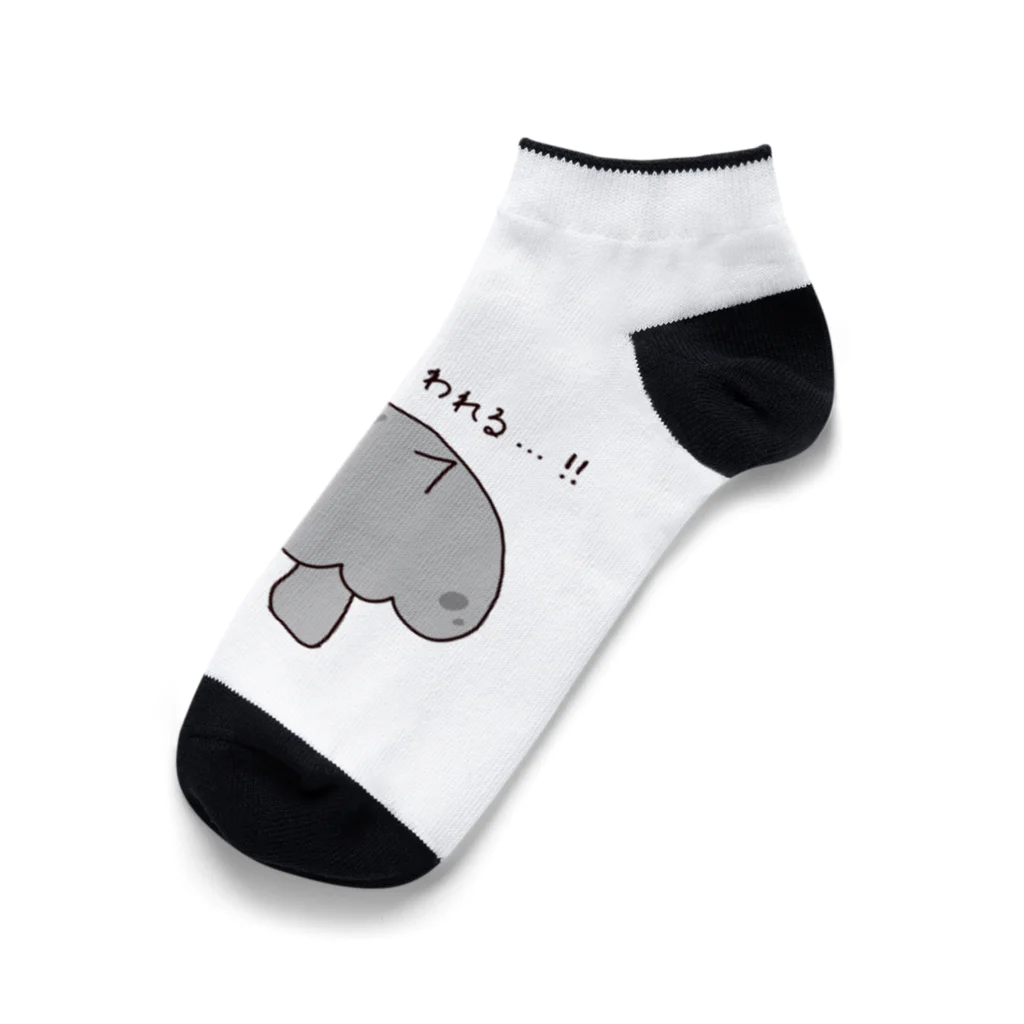 feee.co/フィー子(マーメイド)の品格が問われるアメリカンショートヘア(きのこ) Ankle Socks