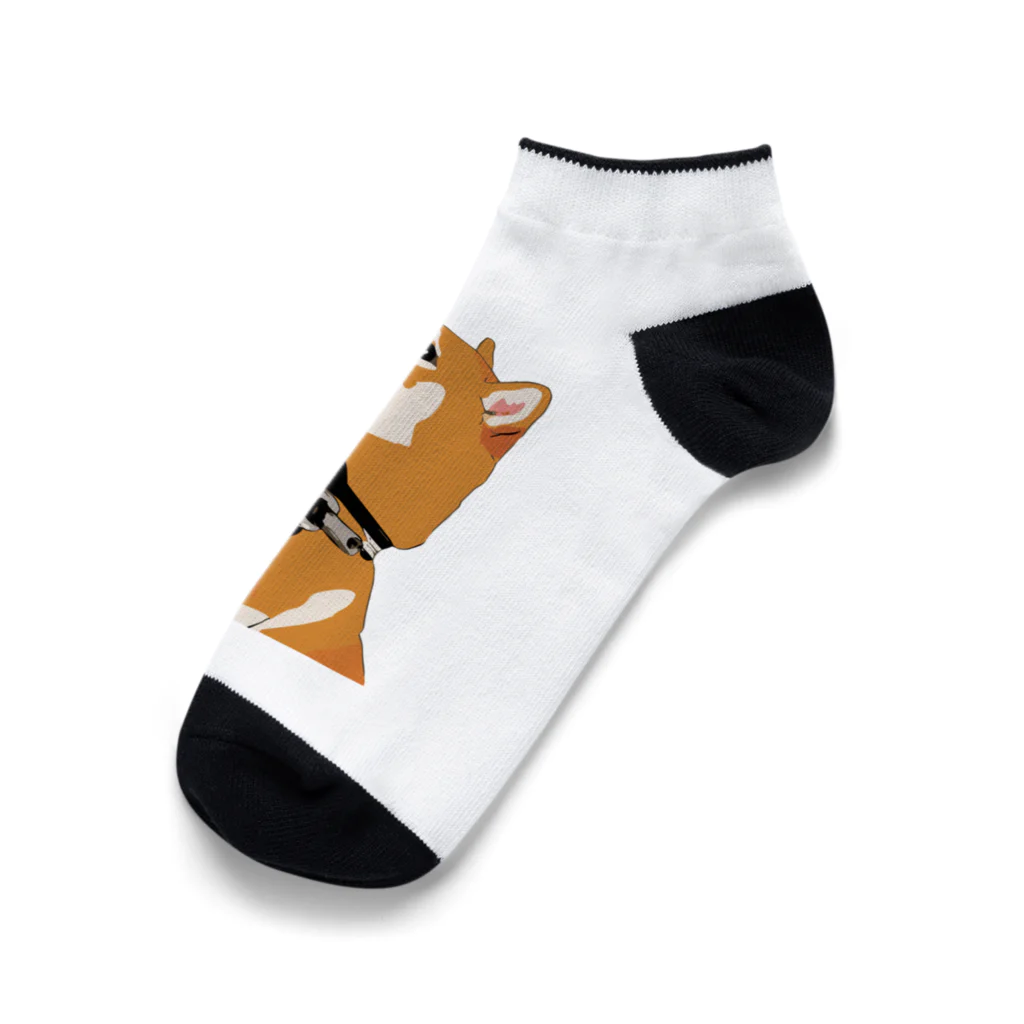 パンプアップ柴Hachiのパンプアップ柴Hachi Ankle Socks