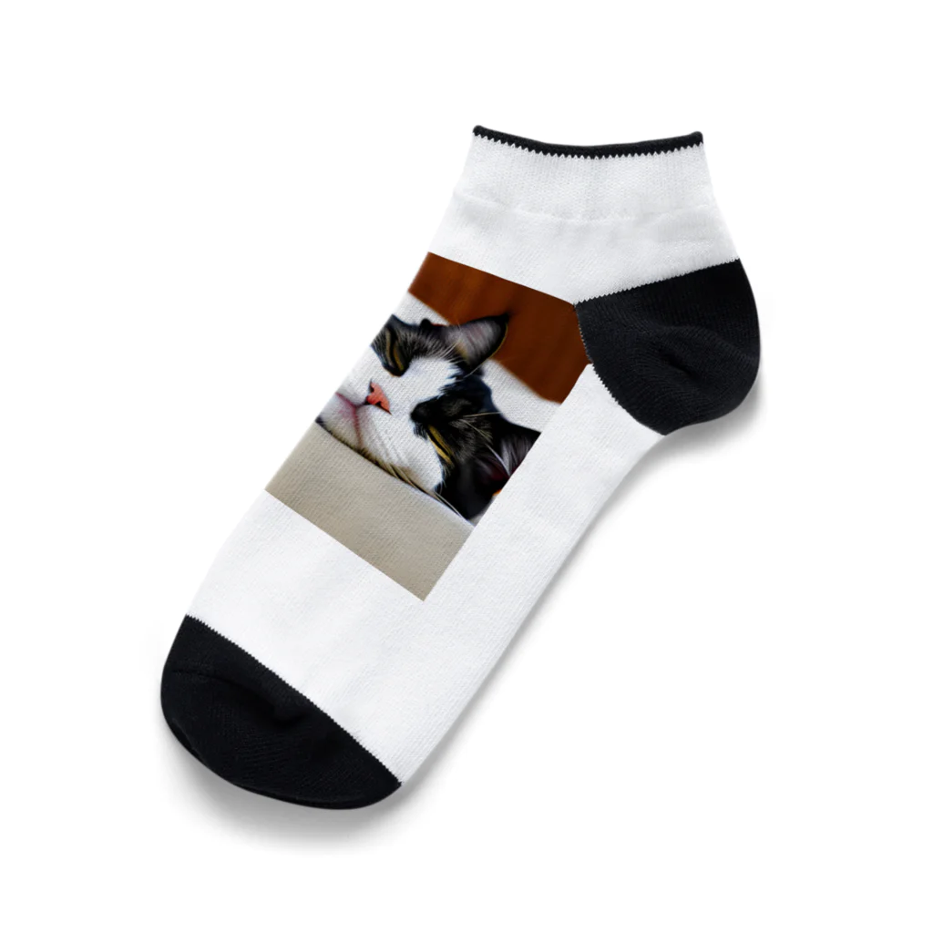 ニャーニャーニャーの寝たネコ Ankle Socks