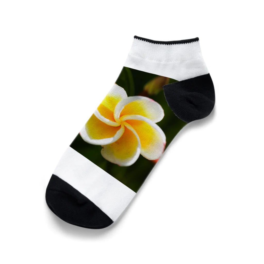 kamakiri3のFlower of the Heart　プルメリア Ankle Socks