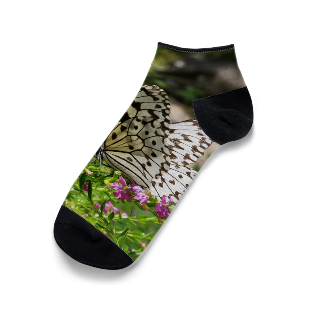dandelionの大きい蝶々 オオゴマダラ Ankle Socks