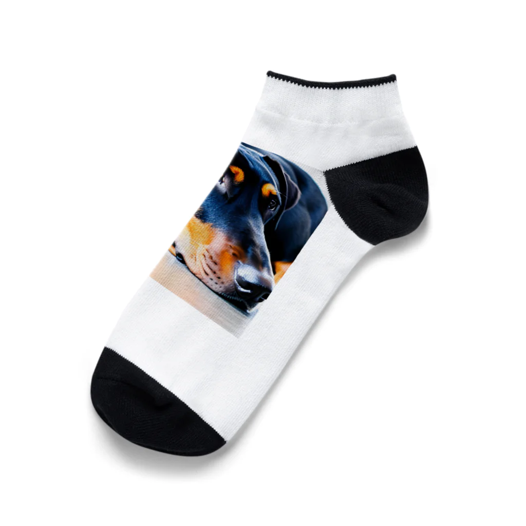 犬バカ部のタレミミドーベルマン Ankle Socks