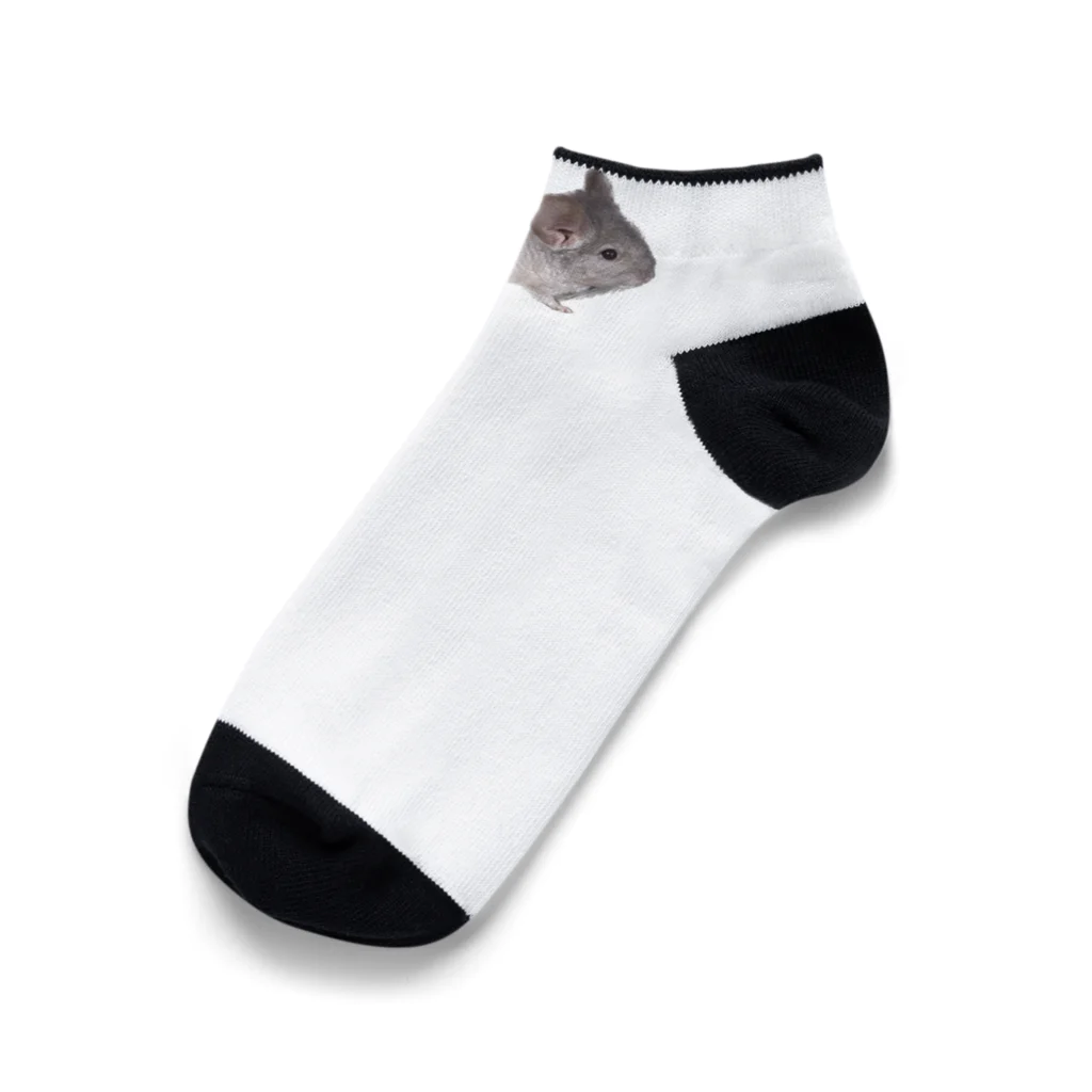 アニマルTAILのチンチラの望君 Ankle Socks